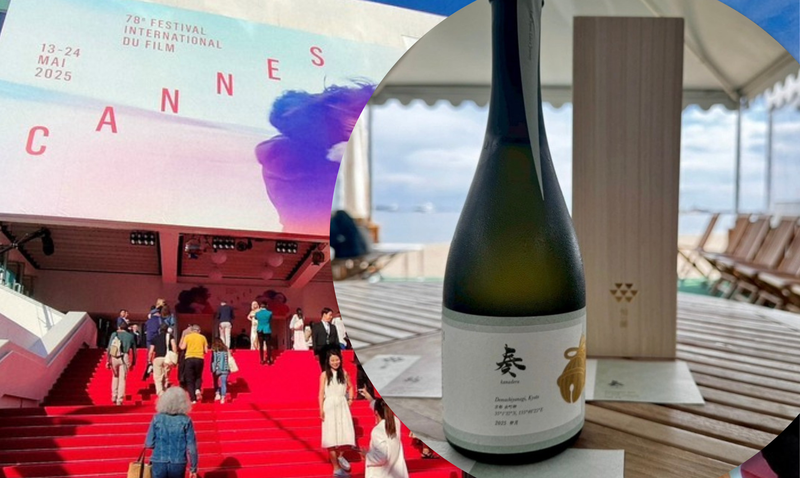 Cannes International Film Festival